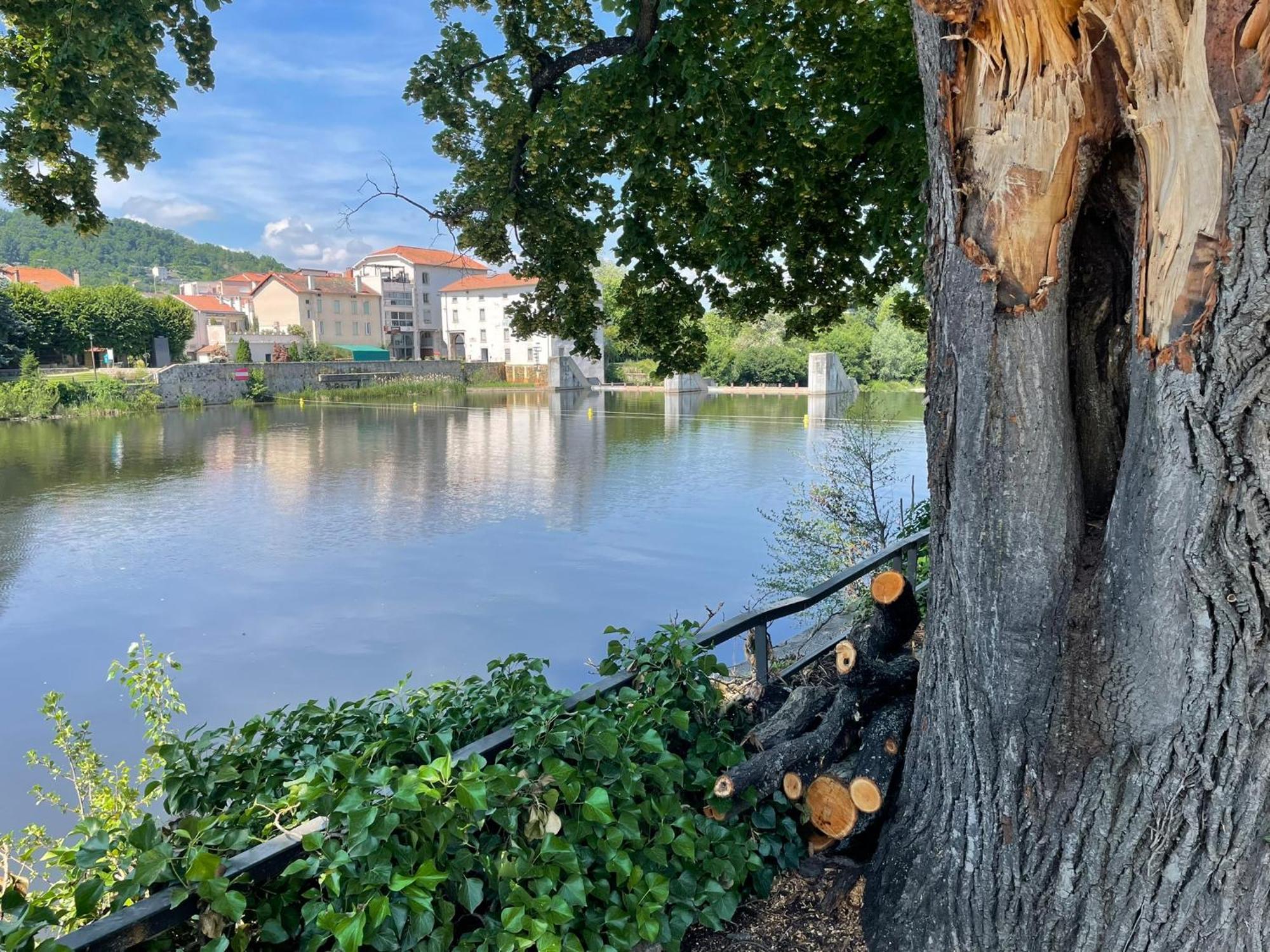 La Brivoise - Maison Calme Et Cosy , Wifi, A 5Min Du Puy Villa Brives-Charensac Buitenkant foto
